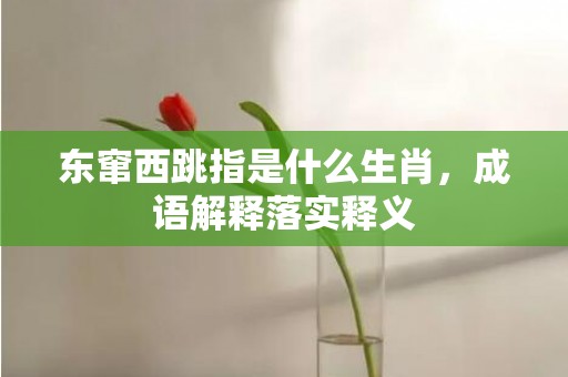 东窜西跳指是什么生肖，成语解释落实释义插图