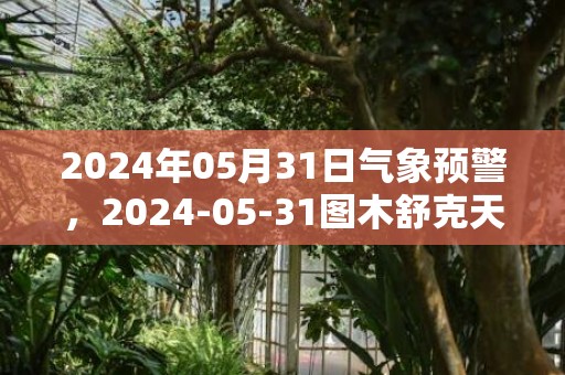 2024年05月31日气象预警，2024-05-31图木舒克天气预报 大部多云