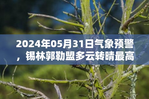 2024年05月31日气象预警，锡林郭勒盟多云转晴最高气温24℃