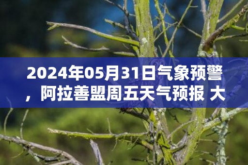 2024年05月31日气象预警，阿拉善盟周五天气预报 大部晴