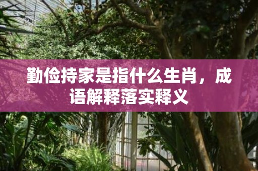 勤俭持家是指什么生肖，成语解释落实释义