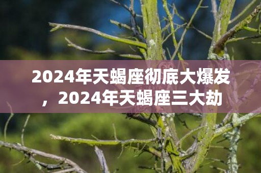 2024年天蝎座彻底大爆发，2024年天蝎座三大劫