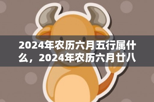 2024年农历六月五行属什么，2024年农历六月廿八出生的男孩运势如何