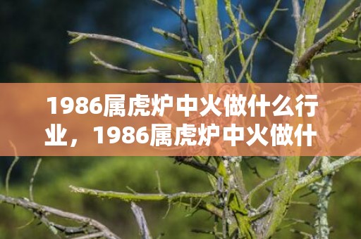 1986属虎炉中火做什么行业，1986属虎炉中火做什么行业