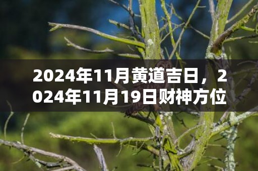 2024年11月黄道吉日，2024年11月19日财神方位查询