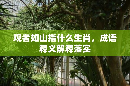 观者如山指什么生肖，成语释义解释落实