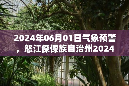 2024年06月01日气象预警，怒江傈僳族自治州2024-06-01周六天气预报 大部小雨