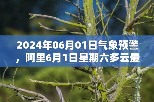 2024年06月01日气象预警，阿里6月1日星期六多云最高温度15度