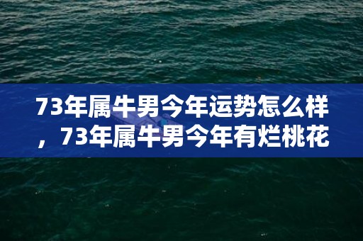 73年属牛男今年运势怎么样，73年属牛男今年有烂桃花吗