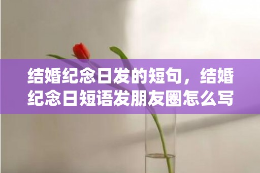 结婚纪念日发的短句，结婚纪念日短语发朋友圈怎么写祝福语(祝亲人结婚纪念日短语)