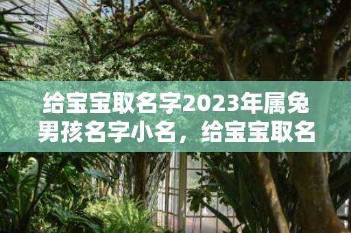 给宝宝取名字2023年属兔男孩名字小名，给宝宝取名字2024年属虎男孩名字