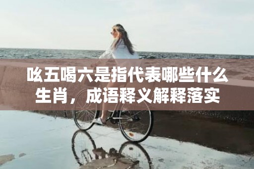 吆五喝六是指代表哪些什么生肖，成语释义解释落实插图