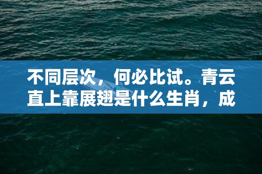 不同层次，何必比试。青云直上靠展翅是什么生肖，成语释义解释落实插图