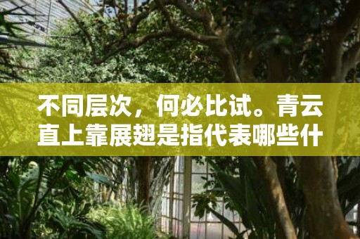 不同层次，何必比试。青云直上靠展翅是指代表哪些什么生肖，成语释义解释落实插图