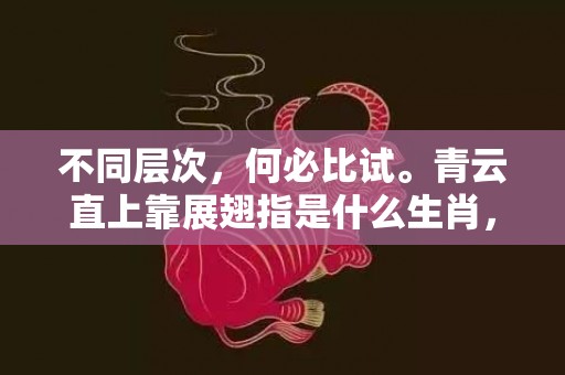 不同层次，何必比试。青云直上靠展翅指是什么生肖，成语释义解释落实插图