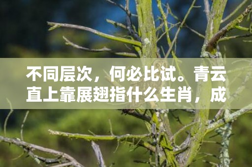 不同层次，何必比试。青云直上靠展翅指什么生肖，成语释义解释落实插图