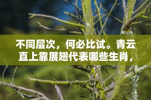 不同层次，何必比试。青云直上靠展翅代表哪些生肖，成语释义解释落实插图