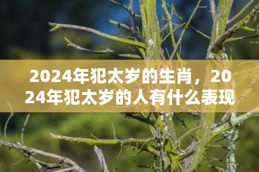 2024年犯太岁的生肖，2024年犯太岁的人有什么表现与不同