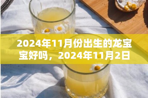 2024年11月份出生的龙宝宝好吗，2024年11月2日可以乔迁新居吗