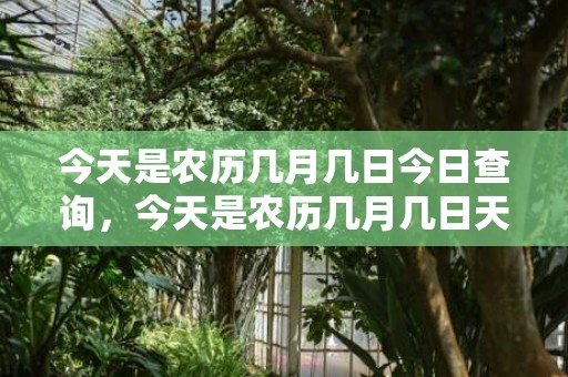 今天是农历几月几日今日查询，今天是农历几月几日天干地支