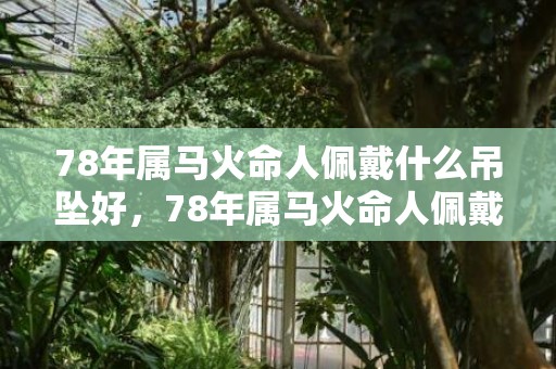 78年属马火命人佩戴什么吊坠好，78年属马火命人佩戴什么好