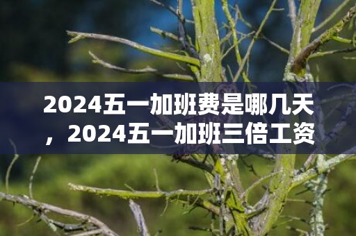 2024五一加班费是哪几天，2024五一加班三倍工资有几天