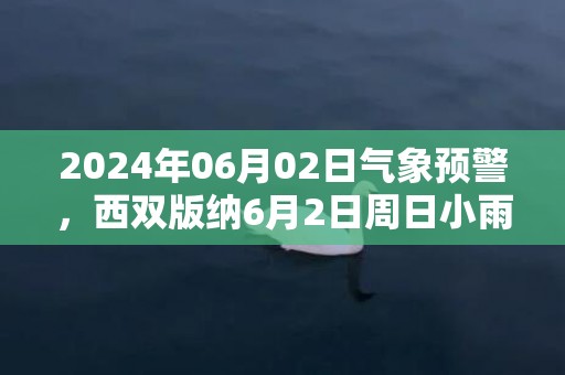 2024年06月02日气象预警，西双版纳6月2日周日小雨转阵雨最高温度31度