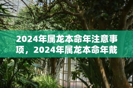 2024年属龙本命年注意事项，2024年属龙本命年戴什么生肖好