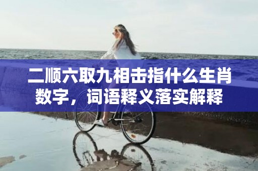 二顺六取九相击指什么生肖数字，词语释义落实解释