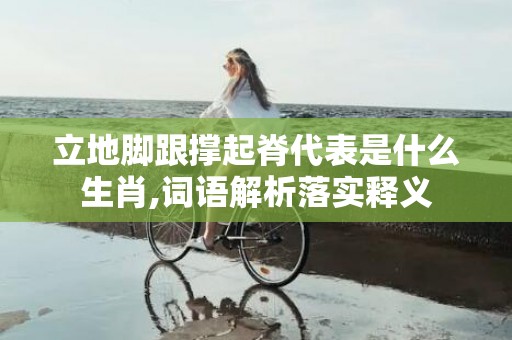 立地脚跟撑起脊代表是什么生肖,词语解析落实释义