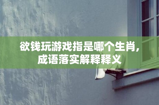 欲钱玩游戏指是哪个生肖,成语落实解释释义