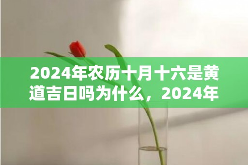 2024年农历十月十六是黄道吉日吗为什么，2024年农历十一月廿八出生的女孩五行八字分析