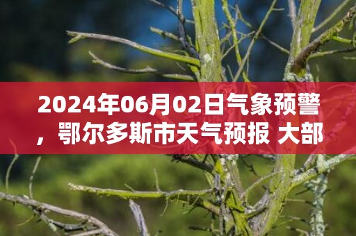 2024年06月02日气象预警，鄂尔多斯市天气预报 大部多云