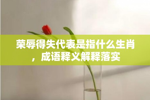 荣辱得失代表是指什么生肖，成语释义解释落实