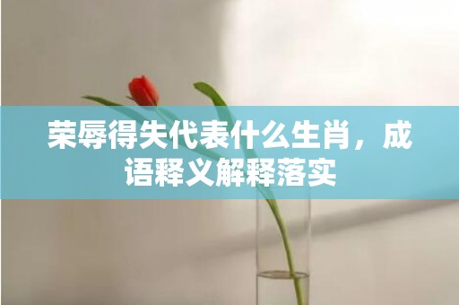 荣辱得失代表什么生肖，成语释义解释落实