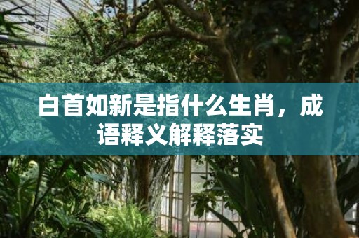 白首如新是指什么生肖，成语释义解释落实