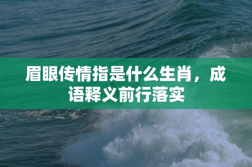 眉眼传情指是什么生肖，成语释义前行落实