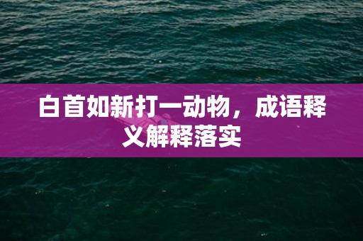 白首如新打一动物，成语释义解释落实