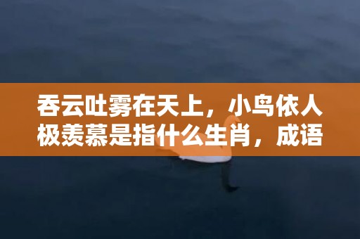 吞云吐雾在天上，小鸟依人极羡慕是指什么生肖，成语解释落实释义