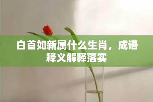 白首如新属什么生肖，成语释义解释落实