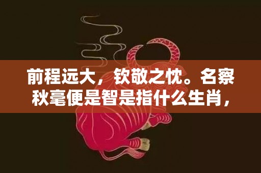 前程远大，钦敬之忱。名察秋毫便是智是指什么生肖，成语释义解释落实