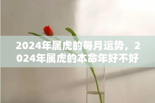 2024年属虎的每月运势，2024年属虎的本命年好不好