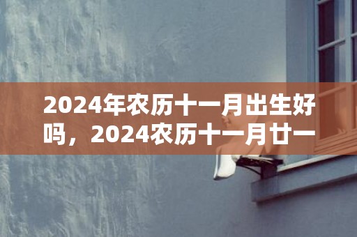 2024年农历十一月出生好吗，2024农历十一月廿一日出生的男孩起名