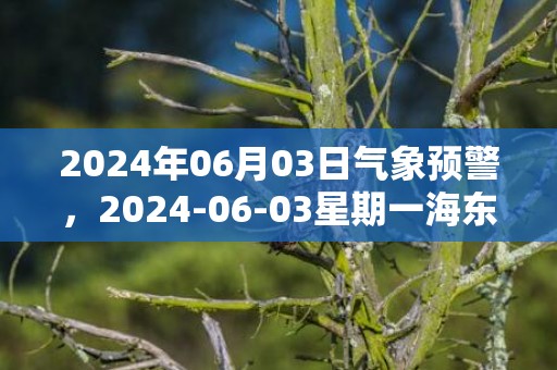 2024年06月03日气象预警，2024-06-03星期一海东市天气预报 大部小雨