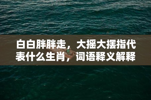 白白胖胖走，大摇大摆指代表什么生肖，词语释义解释落实