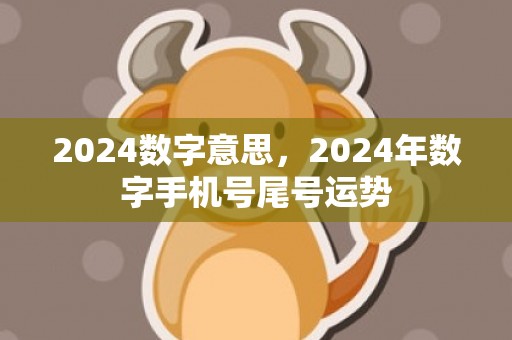 2024数字意思，2024年数字手机号尾号运势