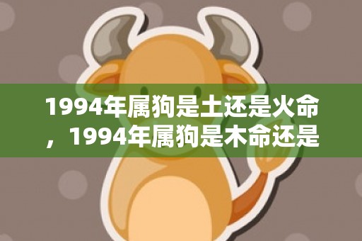 1994年属狗是土还是火命，1994年属狗是木命还是火命