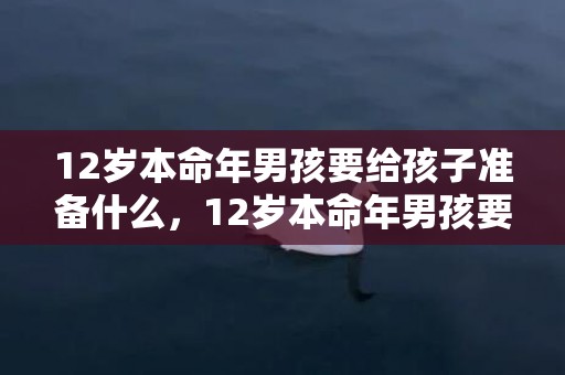 12岁本命年男孩要给孩子准备什么，12岁本命年男孩要佩戴什么属兔