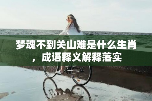 梦魂不到关山难是什么生肖，成语释义解释落实插图