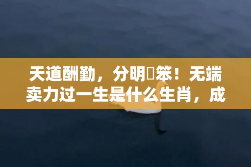 天道酬勤，分明搵笨！无端卖力过一生是什么生肖，成语释义解释落实插图